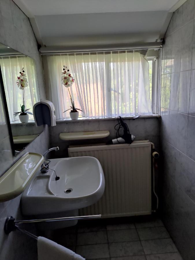 Vrijstaande Rietgedekte Villa Nabij Uitvalswegen Wassenaar Ngoại thất bức ảnh