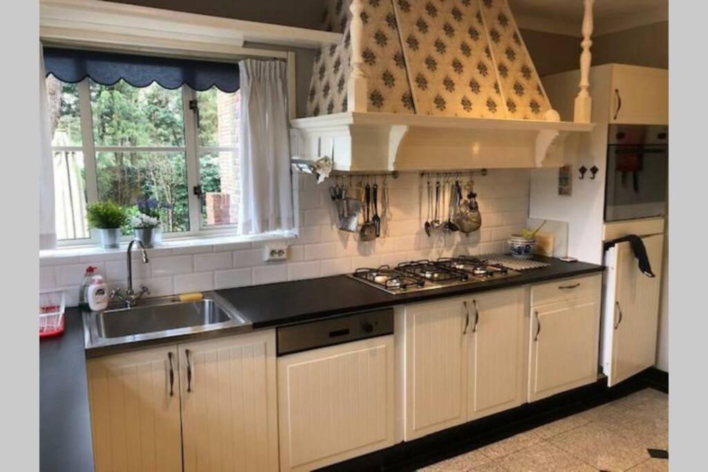Vrijstaande Rietgedekte Villa Nabij Uitvalswegen Wassenaar Ngoại thất bức ảnh